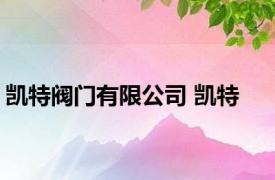 凯特阀门有限公司 凯特 