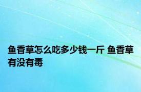 鱼香草怎么吃多少钱一斤 鱼香草有没有毒 