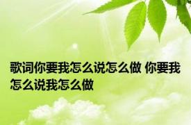 歌词你要我怎么说怎么做 你要我怎么说我怎么做 