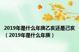 2019年是什么年庚乙亥还是己亥（2019年是什么年庚）