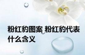 粉红豹图案 粉红豹代表什么含义 