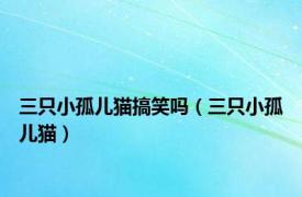 三只小孤儿猫搞笑吗（三只小孤儿猫）