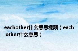 eachother什么意思视频（each other什么意思）