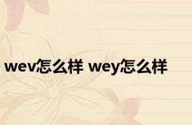 wev怎么样 wey怎么样 