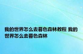 我的世界怎么去暮色森林教程 我的世界怎么去暮色森林 