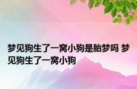 梦见狗生了一窝小狗是胎梦吗 梦见狗生了一窝小狗 