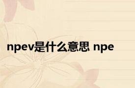 npev是什么意思 npe 