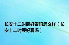 长安十二时辰好看吗怎么样（长安十二时辰好看吗）