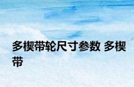 多楔带轮尺寸参数 多楔带 