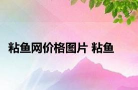 粘鱼网价格图片 粘鱼 