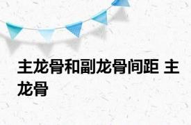 主龙骨和副龙骨间距 主龙骨 