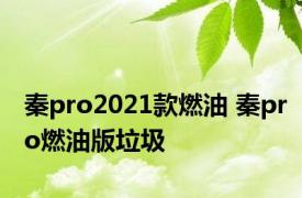 秦pro2021款燃油 秦pro燃油版垃圾 