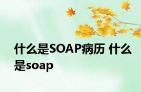 什么是SOAP病历 什么是soap 