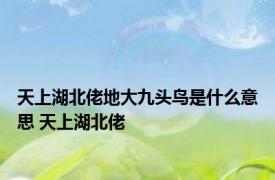 天上湖北佬地大九头鸟是什么意思 天上湖北佬 