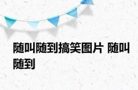 随叫随到搞笑图片 随叫随到 