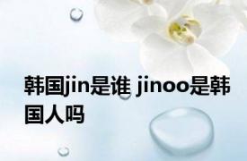 韩国jin是谁 jinoo是韩国人吗 