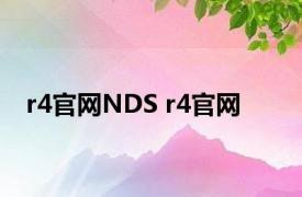 r4官网NDS r4官网 