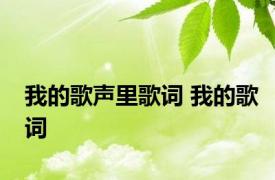 我的歌声里歌词 我的歌词 