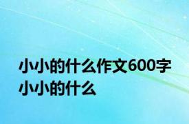 小小的什么作文600字 小小的什么 