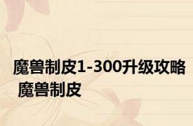 魔兽制皮1-300升级攻略 魔兽制皮 