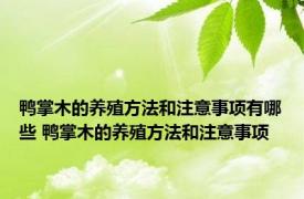 鸭掌木的养殖方法和注意事项有哪些 鸭掌木的养殖方法和注意事项 