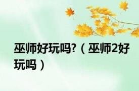 巫师好玩吗?（巫师2好玩吗）