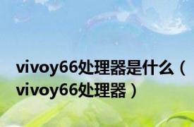 vivoy66处理器是什么（vivoy66处理器）