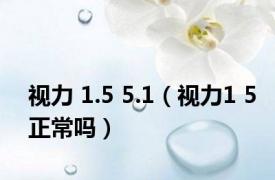 视力 1.5 5.1（视力1 5正常吗）