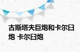 古斯塔夫巨炮和卡尔臼炮 卡尔臼炮 