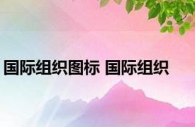 国际组织图标 国际组织 