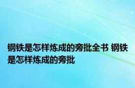 钢铁是怎样炼成的旁批全书 钢铁是怎样炼成的旁批 