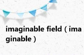 imaginable field（imaginable）