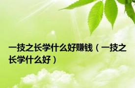 一技之长学什么好赚钱（一技之长学什么好）