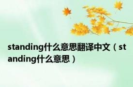 standing什么意思翻译中文（standing什么意思）