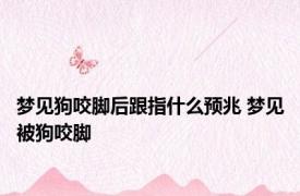 梦见狗咬脚后跟指什么预兆 梦见被狗咬脚 