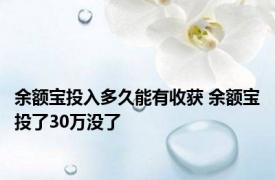 余额宝投入多久能有收获 余额宝投了30万没了 