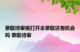 录取待审核打开未录取还有机会吗 录取待审 