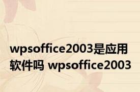 wpsoffice2003是应用软件吗 wpsoffice2003 