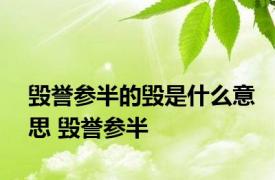 毁誉参半的毁是什么意思 毁誉参半 