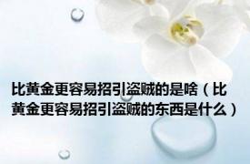 比黄金更容易招引盗贼的是啥（比黄金更容易招引盗贼的东西是什么）