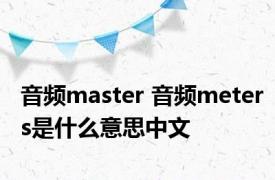 音频master 音频meters是什么意思中文 