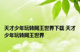 天才少年玩转网王世界下载 天才少年玩转网王世界 