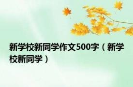 新学校新同学作文500字（新学校新同学）