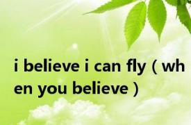 i believe i can fly（when you believe）