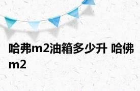 哈弗m2油箱多少升 哈佛m2 