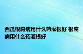 西瓜根腐病用什么药灌根好 根腐病用什么药灌根好 