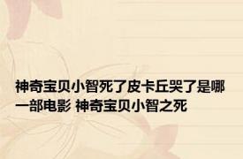 神奇宝贝小智死了皮卡丘哭了是哪一部电影 神奇宝贝小智之死 