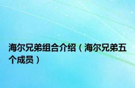 海尔兄弟组合介绍（海尔兄弟五个成员）