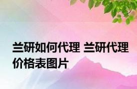 兰研如何代理 兰研代理价格表图片 