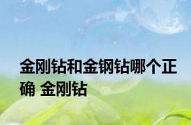 金刚钻和金钢钻哪个正确 金刚钻 